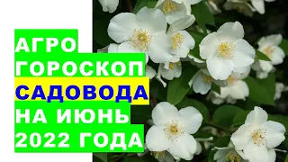 Агрогороскоп садовода на июнь 2022 года