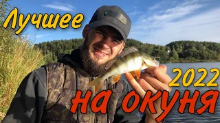 Отличная оснастка для новичков. Краткий обзор отводного поводка. #fishing #fishingroad #youtube