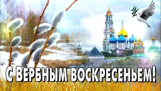 С Вербным Воскресеньем!