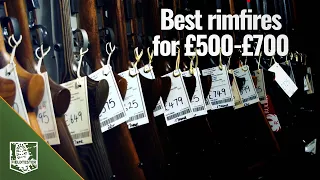 Best rimfires for £500- £700