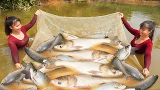 Harvesting A Lot Of Big Fish Goes To Market Sell - Cooking Fish | Phương Free Bushcraft