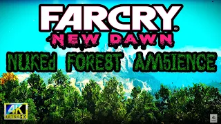 "Exploring the Nuked Forest: Far Cry New Dawn Ambient Walkthrough"