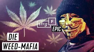 Weed-Mafia: Wie blutig ist unser Gras? | STRG_F EPIC