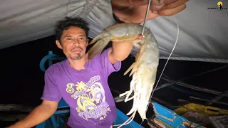 Night fishing using shrimp for bait | CATCH AND COOK