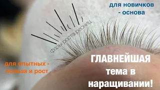 БЕЗ ЭТОГО НИКУДА! Для новичков - основа! Для опытных - польза! Фазы роста ресниц.