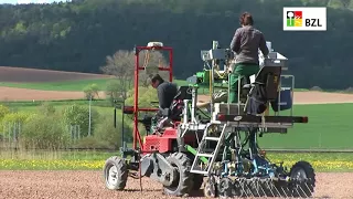 Heimische Hülsenfrüchte – was sie so besonders macht