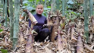 harvesting bamboo shoots, bringing them to the market to sell | Ly Thi Diet