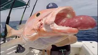 WHY is This Fish THROWING UP Its STOMACH? - Catch Clean Cook - Multi Species DEEP Drop Fishing!