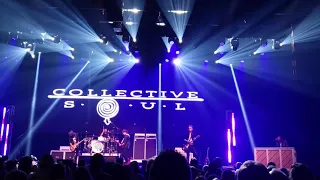 Collective Soul Live 2019 - Observations of Thought