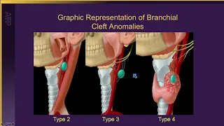 2020 Top Teachers in Head & Neck, Brain and Spine Imaging