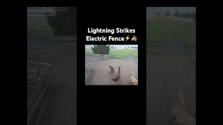 Electric Fence Struck by Lightning: Scares Horses