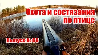 Охота и состязания по птице | Выпуск № 66 (RUS)