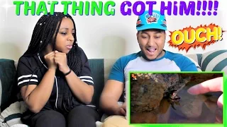 Brave Wilderness "Creepy Tide Pool Creatures!" REACTION!!!