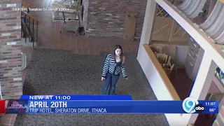 Tompkins County Sheriff's looking for Ithaca hotel vandals