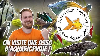 ON VISITE UNE ASSOCIATION D'AQUARIOPHILIE ! [ ANI' MOOD ]