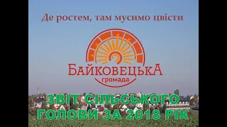 ЗВІТ СІЛЬСЬКОГО ГОЛОВИ ЗА 2018 РІК