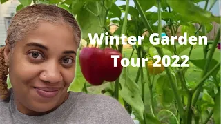 Winter Garden Tour 2022 | Seed Haul | Starting a NEW Container Garden from Scratch?