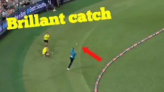 Brillant catch by Michael Neser Brisbane heat vs Sydney sixers|