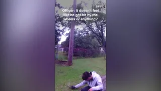 CPR Saves Squirrel