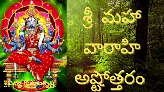 Varahi devi astothram |#sri varahidevi #navarathri #శ్రీ వారాహి అష్టోత్రం#varahi #srividyagopal