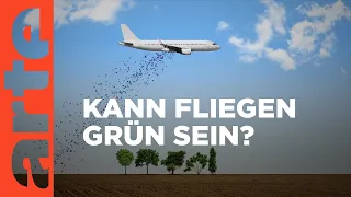 Öko-Flüge, nur ein Luftschloss? | Citizen Facts | ARTE