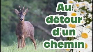 Au détour d'un chemin