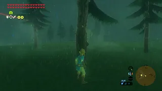 Unspotted Music Glitch (BOTW)