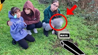 notre chat maya est décédé  #sistersalipour #rire #prank