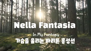 (털보삼촌)한국인이 사랑하는 노래 "넬라 판타지아" Nella Fantasia Cover by 가슴을 울리는 바리톤 Baritone Sung Sun Hong 🌼