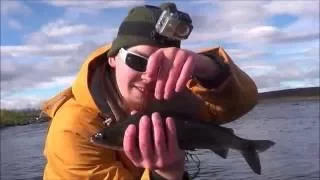 Perhokalastusta lapissa. Rommaeno/Fly fishing in the finnish lapland Part. 1