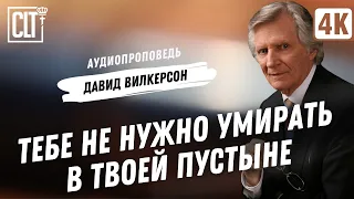 Тебе не нужно умирать в твоей пустыне | Давид Вилкерсон | Аудиопроповедь