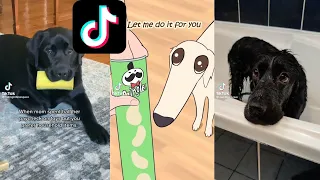 let me do it for you Tik Tok Meme Trend Compilation