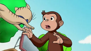 Georges le Petit Singe 🐵 George découvre la notion d'élan 🐵 Dessins Animés