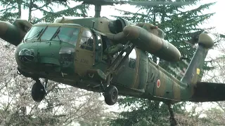 UH-60JA Black Hawk & OH-6D Cayuse | Landing | Camp Shinmachi 2013 新町駐屯地 (雨)