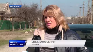 День. Новости TV5. Выпуск 15-00 за  24.03.2016
