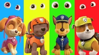 Funny Wrong Heads Paw Patrol Wrong Faces Eyes Nursery Rhymes Cartoon for Kids 2017 New Paw Patrol