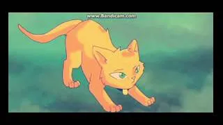 Warrior Cats-My demons