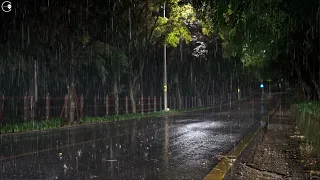 Fall asleep quickly and relieve insomnia with heavy rain at night, rain sound sleep ASMR white noise