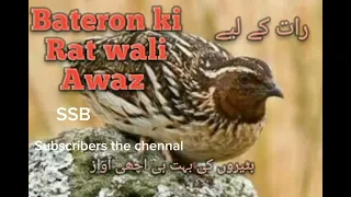 batair awaz rat kliye,quail sound for night