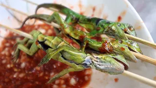 CATCH AND COOK: BABY IGUANA SHISH KABOB!!