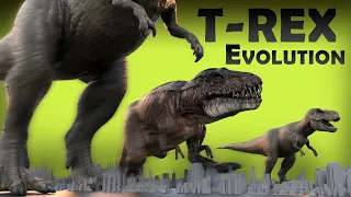 Evolution of T-Rex year by year size comparison