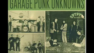 Last of the Garage Punk Unknowns, Volumes 5 & 6