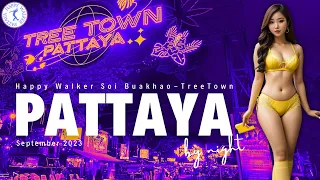 Pattaya. Soi Buakhao and Tree Town, Thailand. Night Life September 2023.