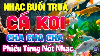 Nhạc Không Lời Buổi Trưa Phiêu Từng Nốt Nhạc - Hòa Tấu Cha Cha Cha bolero - Nhạc Cá Koi Hay Nhất