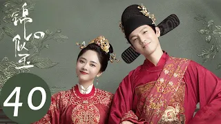 ENG SUB【锦心似玉 The Sword and The Brocade】EP40 琥珀设计冬青，十一娘进退两难（钟汉良、谭松韵）