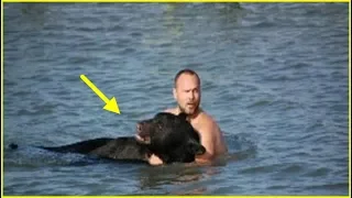 This Bear Was Drowning In The Ocean. You Won’t Believe What This Guy Did About It.