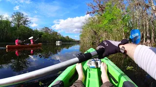 Paddling the St  Johns River Hontoon Island State Park, Florida-about an 8 minute relaxing paddle.