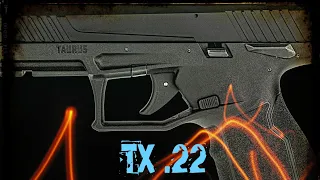 Taurus TX 22 accuracy test !! Blazer brass Must watch !!!