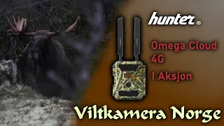 VILTKAMERA I AKSJON | Hunter Omega Cloud 4G