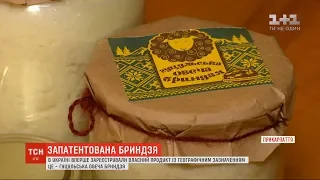 Гуцульська овеча бриндзя стала першим українським продуктом, що має географічне зазначення